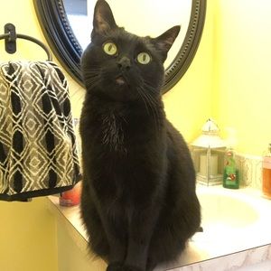 Meet your Posher, Jordyn